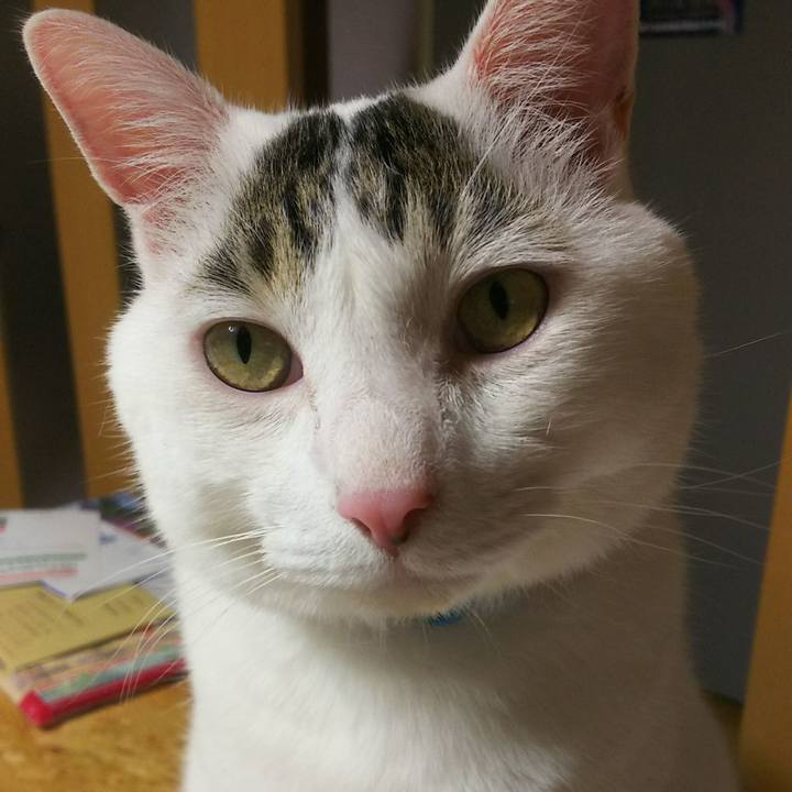 83e0a202 7c1e 4b02 832b f9344107c53b 1531663399899