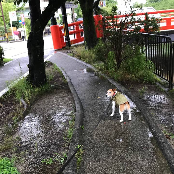 83e0c6e1 586b 4b4a 8822 17f63e3f2c8c 1530877395919