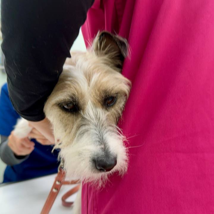 83e0cd8c ceed 40e8 bbba 9fc97a8e3efe 1706541725133