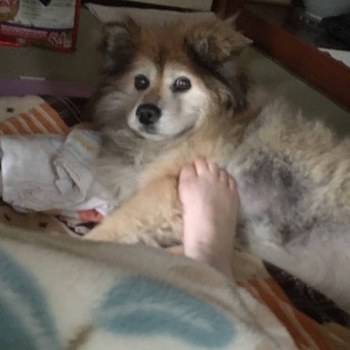 83e0e5ca ae97 4a55 a9fd 4ddca648ee17 1611805636190