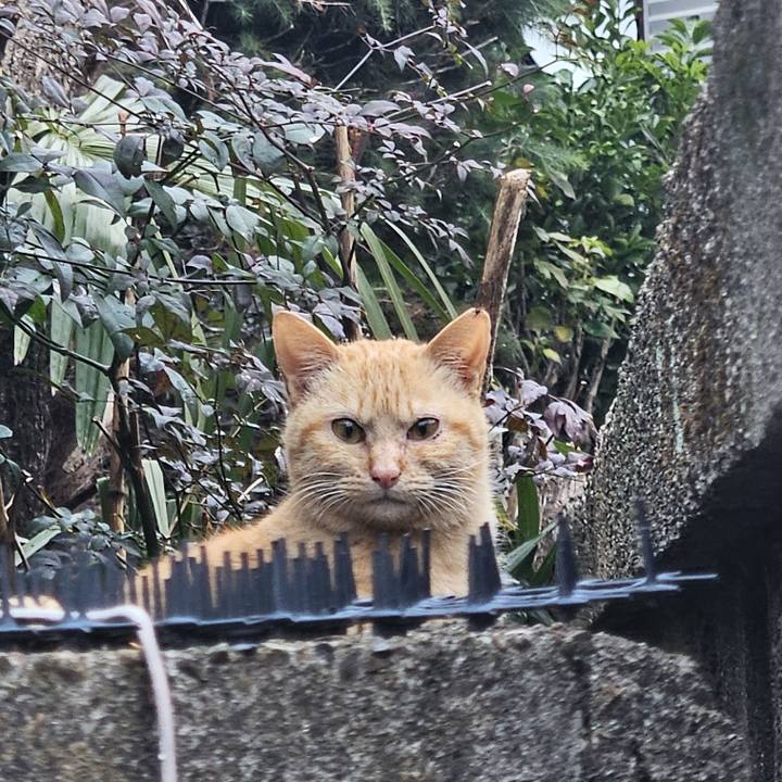 83e12242 b470 4219 bc34 f5c6d7680123 1741743391718