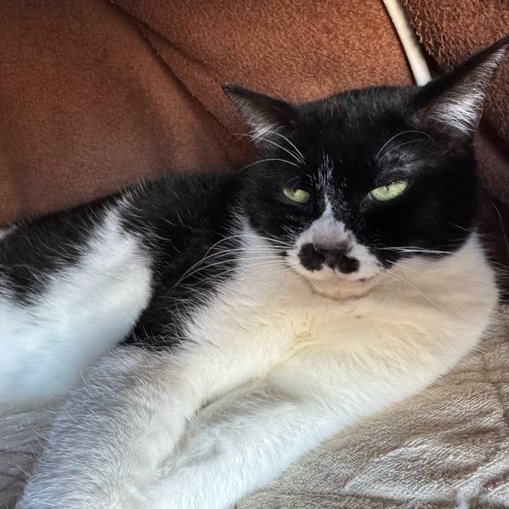 83e1340c 12b7 4745 8149 9e015173cc68 1764979813015