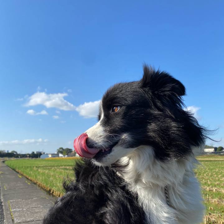 83e15eb7 9c42 42b8 96c3 95726643253e 1603412970963