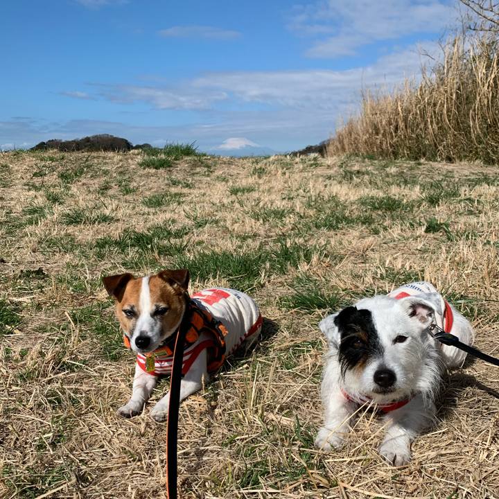 83e19c40 cb99 4f24 a22d b00fc6224808 1583975089284