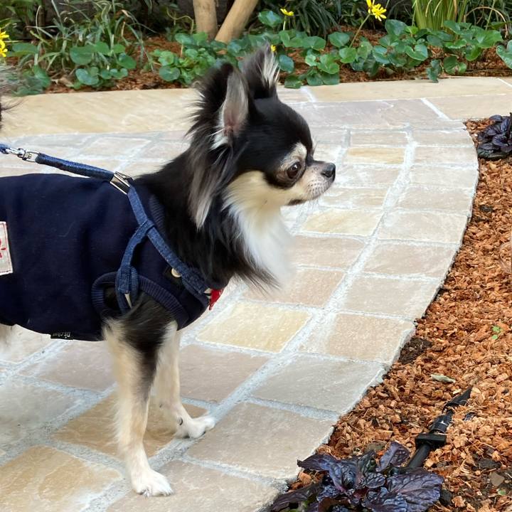 83e1c330 e63e 401b 9ca7 f7dcc2f7312a 1637651586399