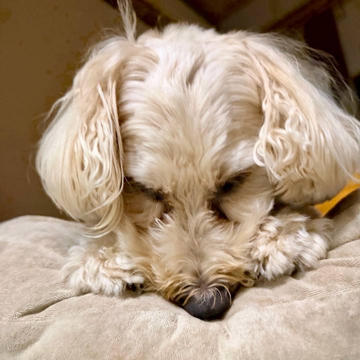 83e1d2d5 c234 4bae b478 6f1fdf8a7f2f 1790726274967