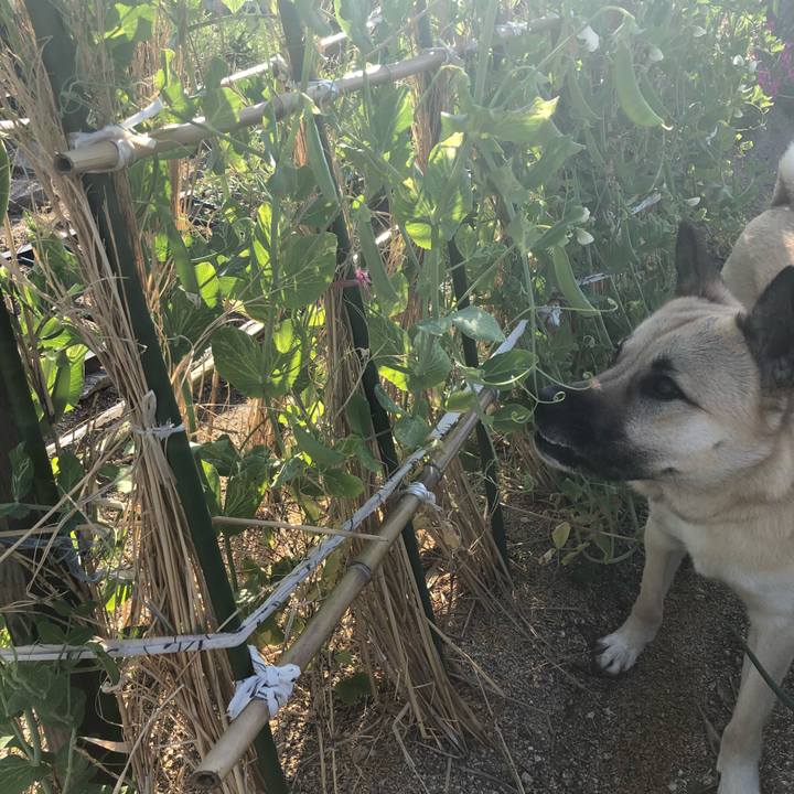 83e1d966 f331 4f00 b4ca 1fc14b9e08e4 1524225803942