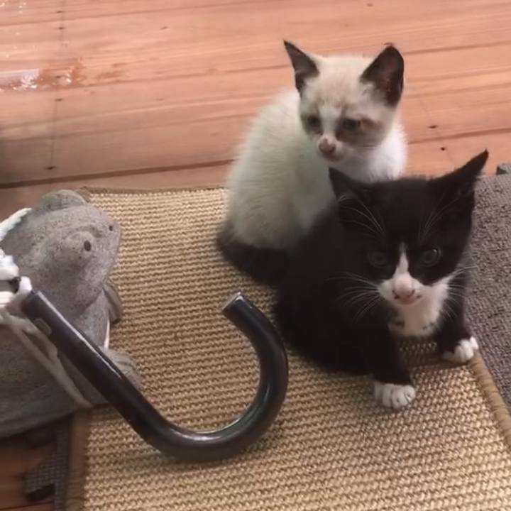 83e1ecfd 6ccc 49d5 95a5 ed25e6e137aa 1732908996011