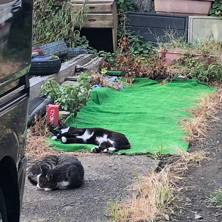 83e20503 5ee1 486a 9f73 b941b538bde7 1599977126567