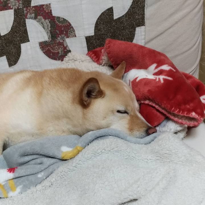 83e23445 8ac3 4c13 a479 ea5f4b40e4f5 1583407804566