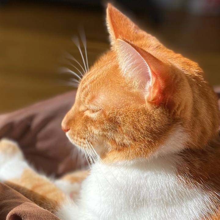 83e27646 f67e 4dd6 bae1 35a549dda9d6 1606534213179