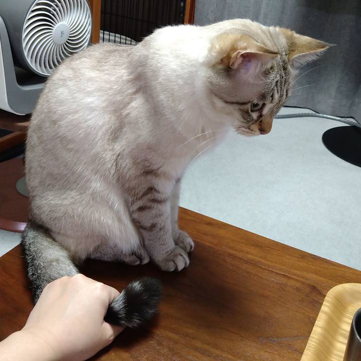 83e277c4 0502 44a9 9800 f99b1c5ecd10 1633603103376