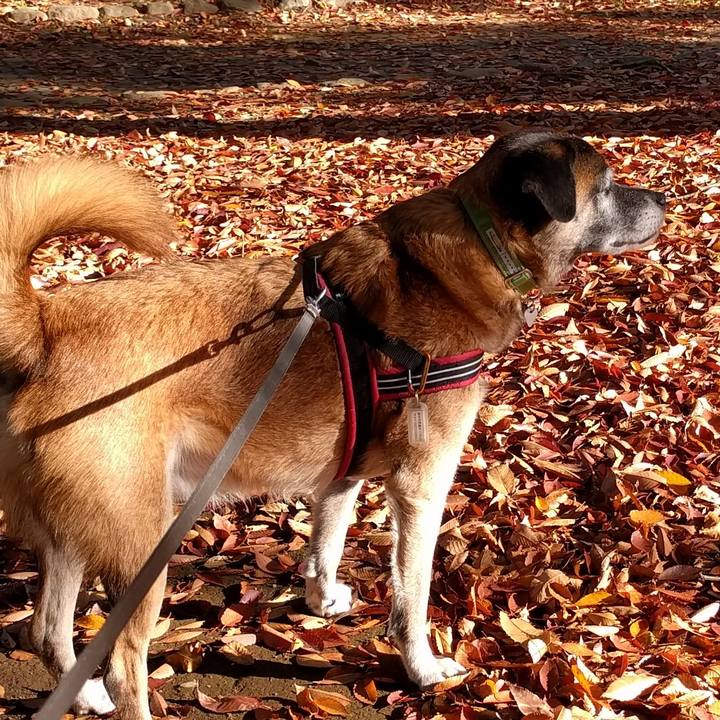 83e2a28e c62d 4446 9d26 97064f9aae8d 1510792918553