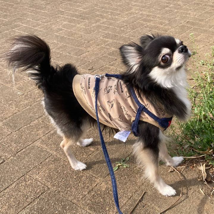 83e2ad60 7e41 4b2d a4ff db84b6e0dc2e 1678639975959