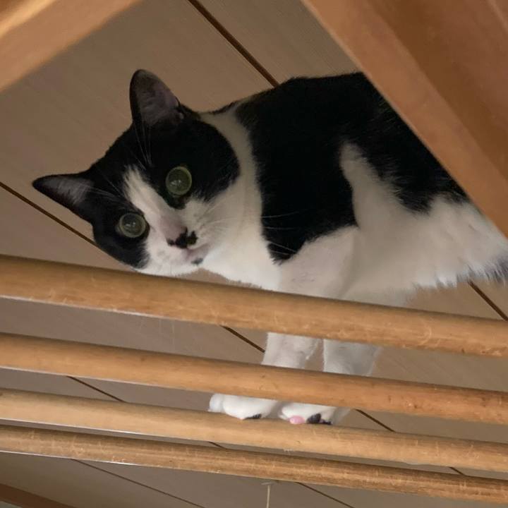 83e2c09b b9e1 460d 9d55 928352ce84ca 1635401412583