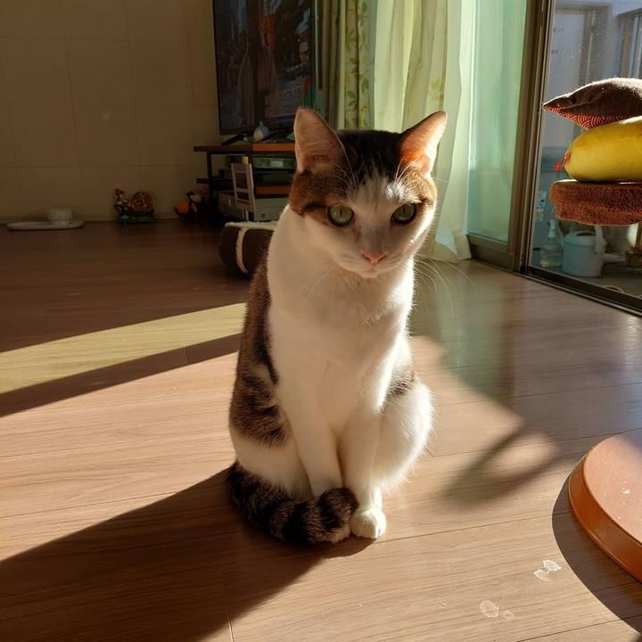 83e2d67d 6852 4407 b046 6bb052212d09 1637970790509