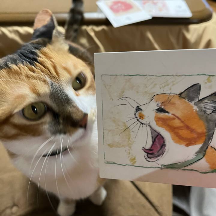 83e2dbb3 b804 442c ba14 c0803ee14584 1767262172674