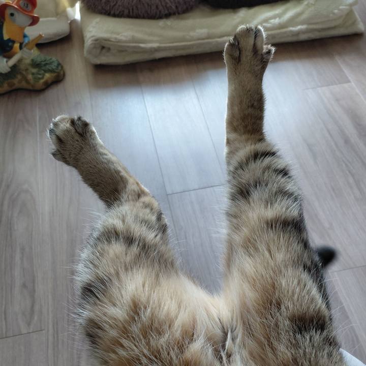 83e2de63 d394 4270 970a 674a9bf245b3 1774070025769