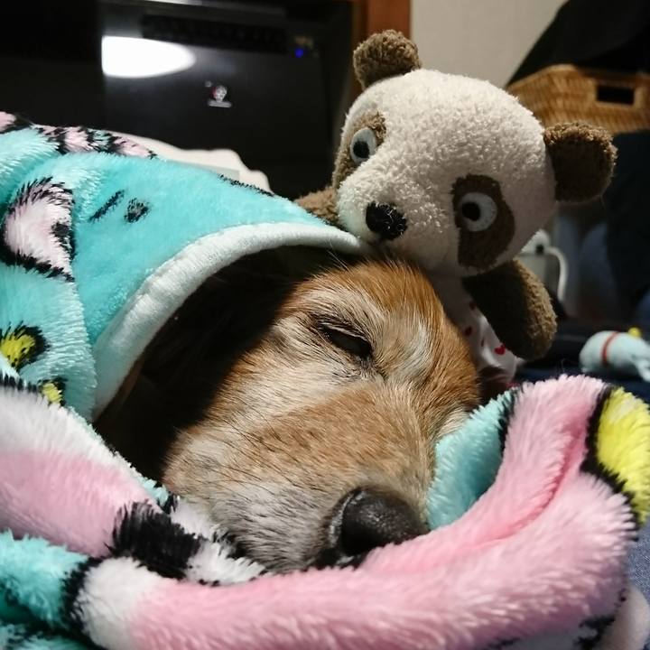 83e31928 319e 40a3 83fc 471b23da3da5 1517072682937