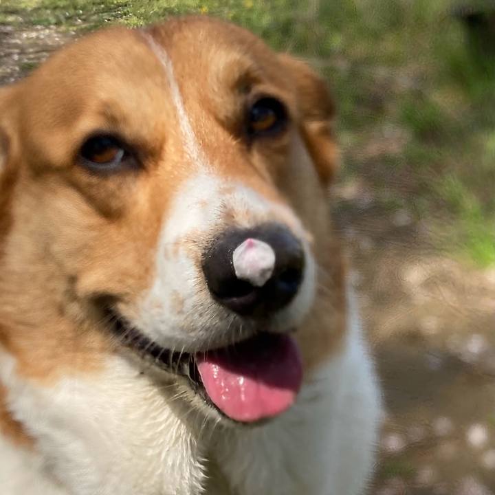 83e35cac c0bb 4d9b 9493 6aa1ee9f2775 1713312095597