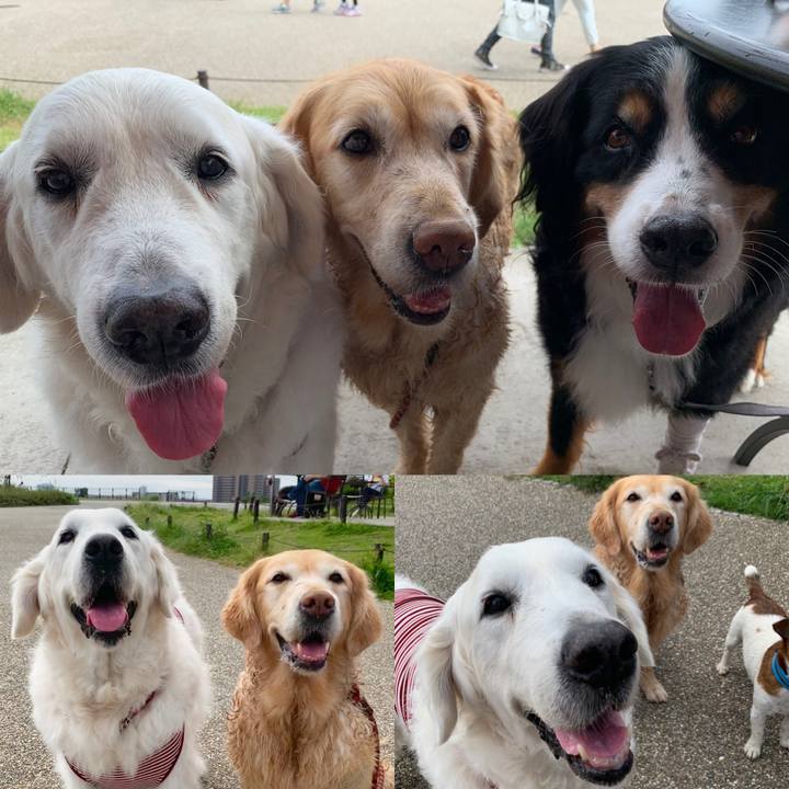 83e3a35b 7ac2 42ba 947b c069563a5bc2 1569748647247