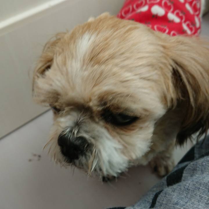 83e3a3bb ff03 418c abfe ccf0591a40df 1530695600961