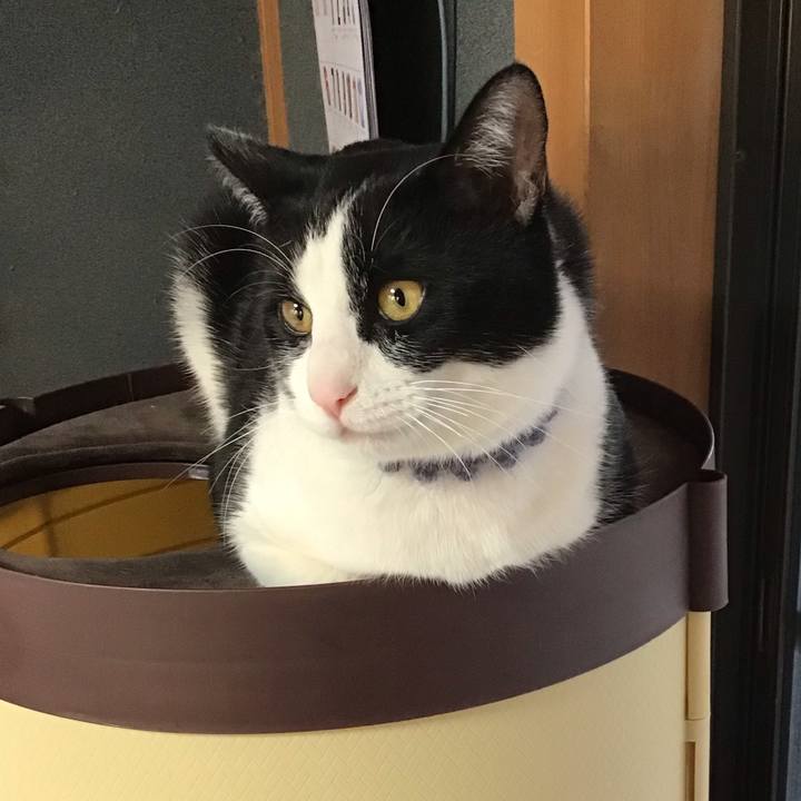 83e3c550 04da 431a ac3b d757400de9be 1643585947612