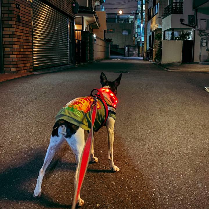 83e3e983 6de4 4bf4 9d9b c7f3f0772da0 1586383639568