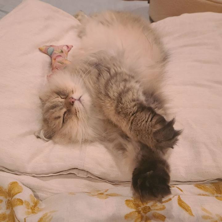 83e42b1c 7c5e 4f4c bcf9 0593eee81844 1651320877229