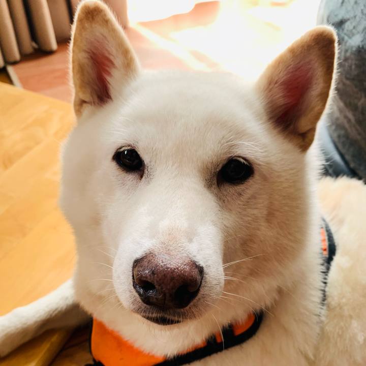 83e42dcc dbb0 4758 ad45 d535161f17ef 1637456409143