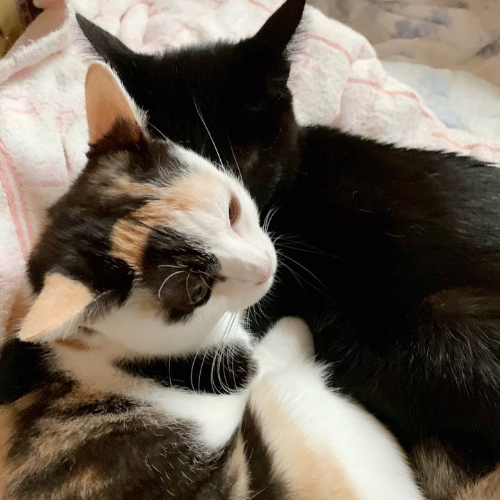 83e46a9a 35e3 4dc3 a9bc 0c31997b4e59 1540348480340