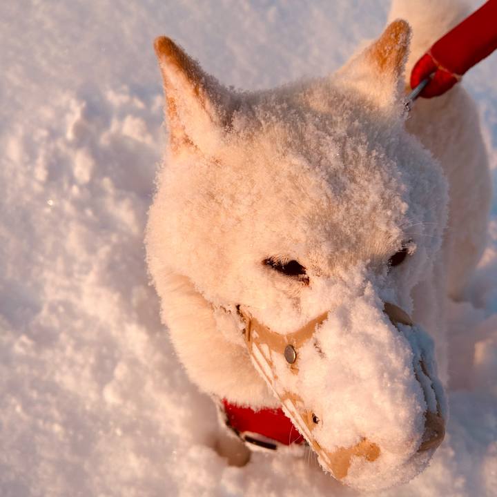 83e47661 390a 48c5 8892 aa23bd67c020 1770676576464