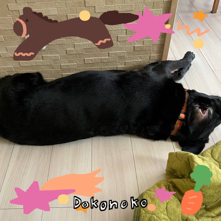 83e49f94 55f6 4153 b903 b9795e0d441a 1771826474772