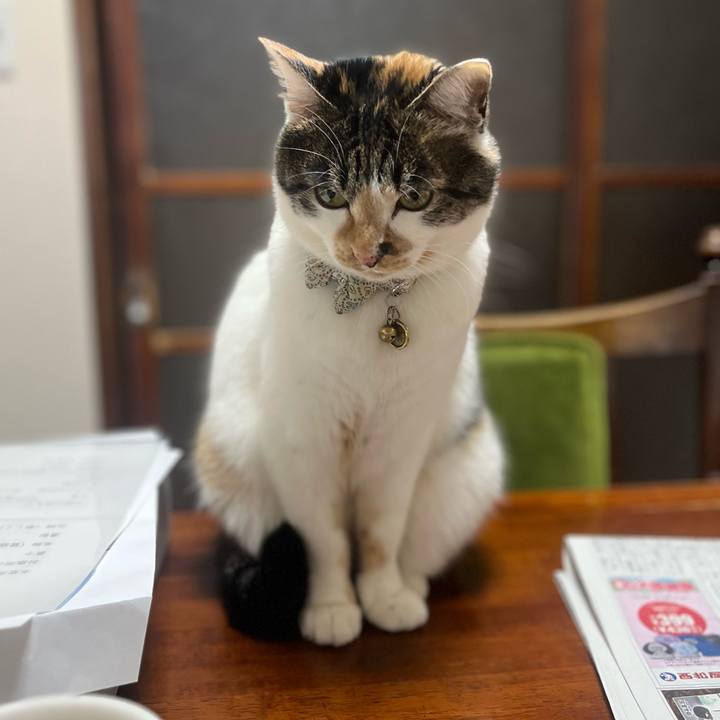 83e4a722 d4e7 4106 8b3b 422621ae435d 1773275335336