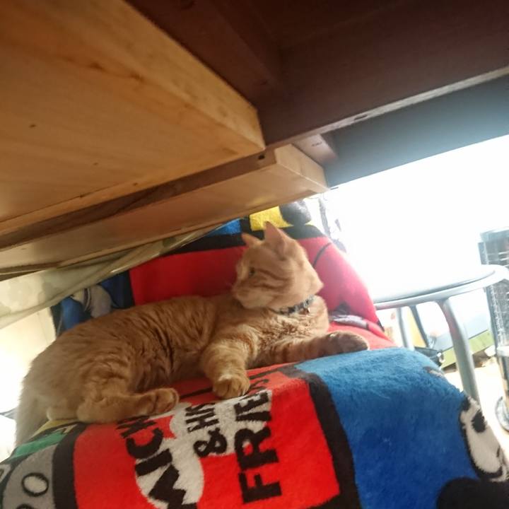 83e4c92f 0d85 46f3 8565 1c8ed14a42b9 1651323133210