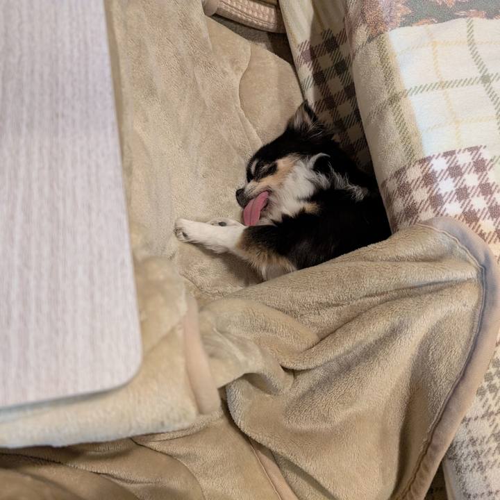 83e4cc3d 3c97 4228 bd5b 7ad72a77d7f7 1768656062057