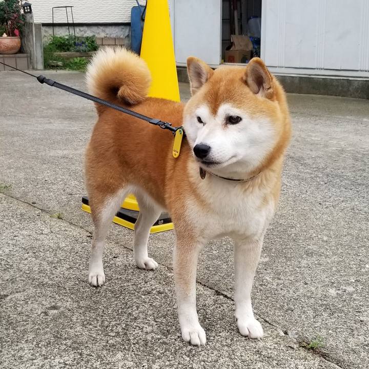 83e4ee33 18c7 4d60 ae97 7ed52f87d2f9 1601853000895