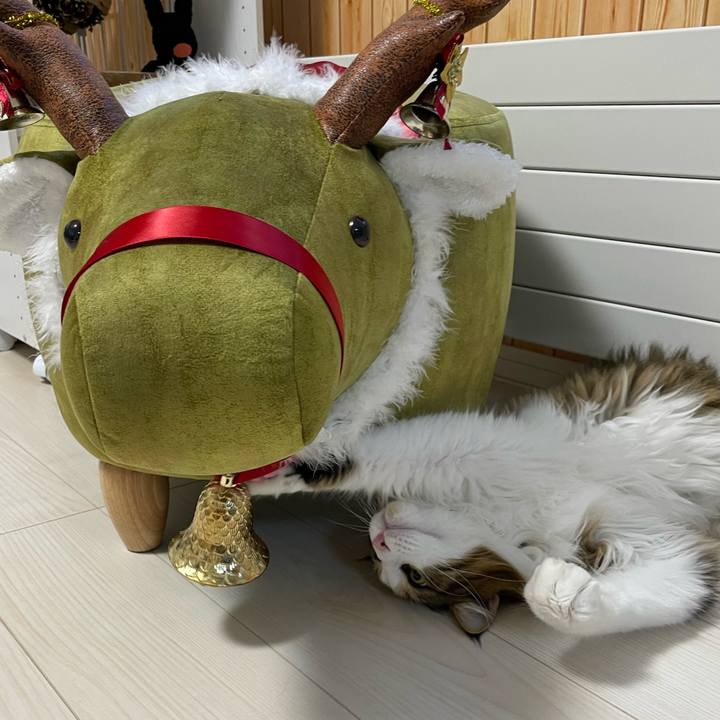 83e53ae2 a09c 4bc5 9061 87783b80b879 1669192299131