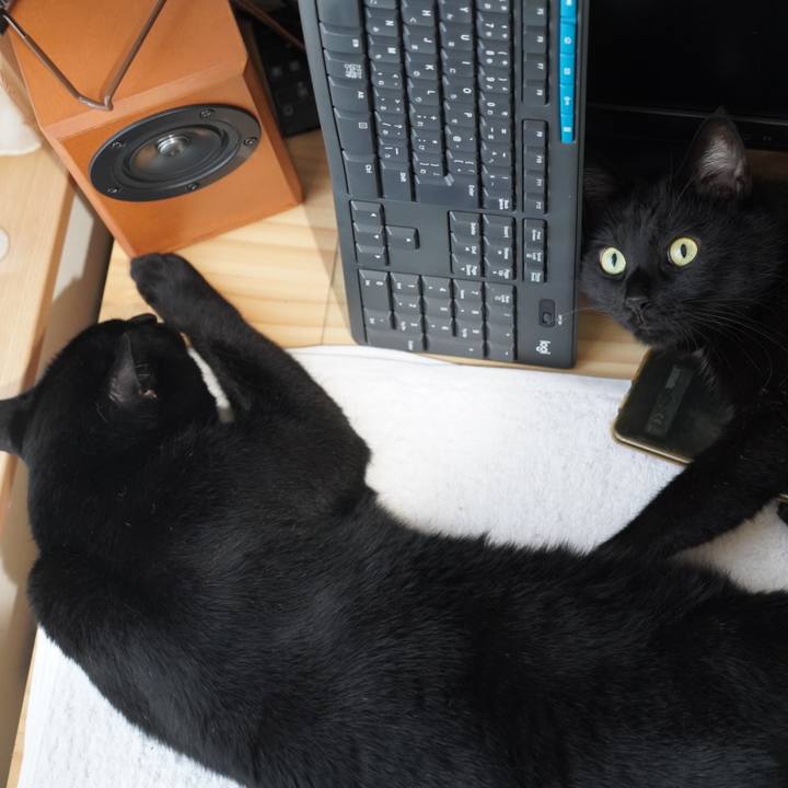 83e5794a cf47 49b8 9f74 ba98ae846ef0 1629590817239