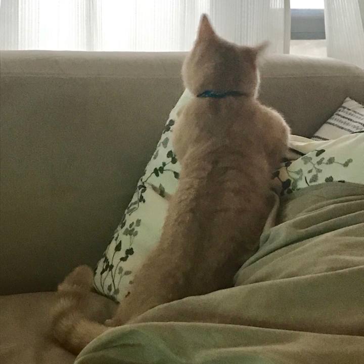 83e57a06 e84d 4665 8734 6e6e88140c03 1520202863609