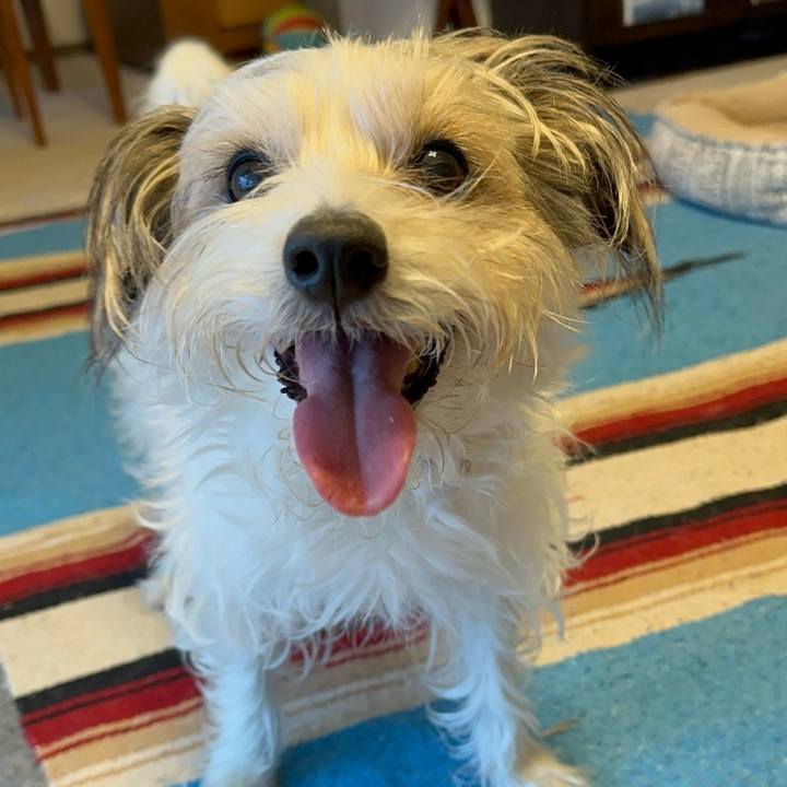 83e5882d 89fb 4b2e 949a a2298d9ce889 1770732636016