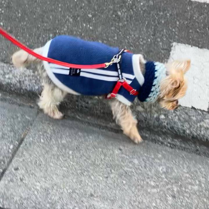 83e620b1 27d3 4d4e b583 51d2efe5b4ab 1768116926558