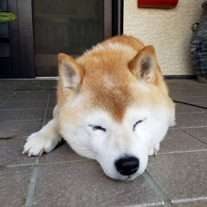 83e63cf1 ab39 465d b152 24391c3d85f7 1718146219403