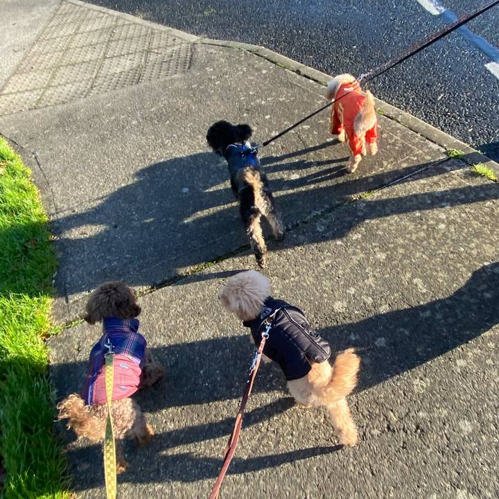 83e665a1 0af5 400d 8b41 3e62a89133d2 1639577868940