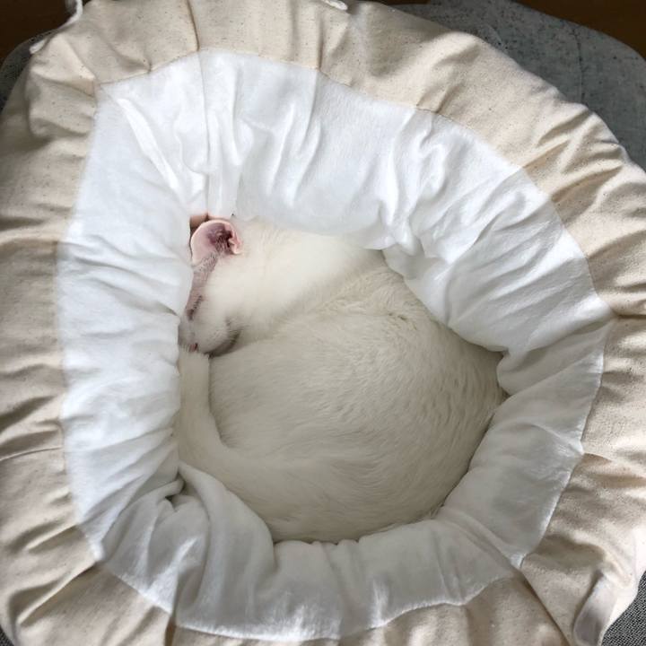 83e6c399 721b 4d42 9f83 89494040207a 1559516354370