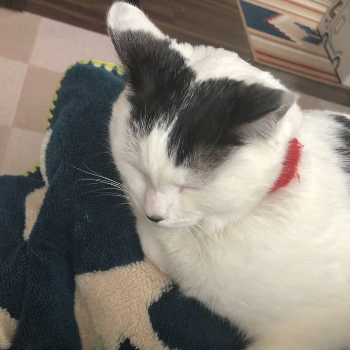 83e6d4c1 0b1a 4167 91bd 7ac7e12b7549 1549680378936