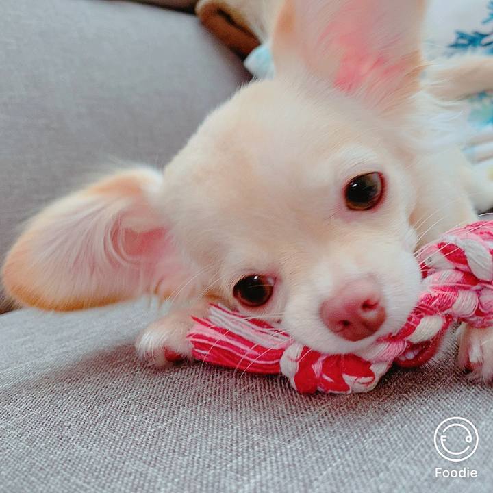 83e6db43 bcac 436d 9a3f ba014f58df5e 1599719242437