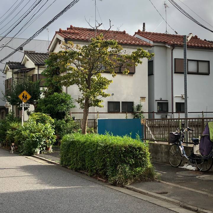 83e6dbb3 b50c 4641 80f8 6cdbed7952a1 1565878214621