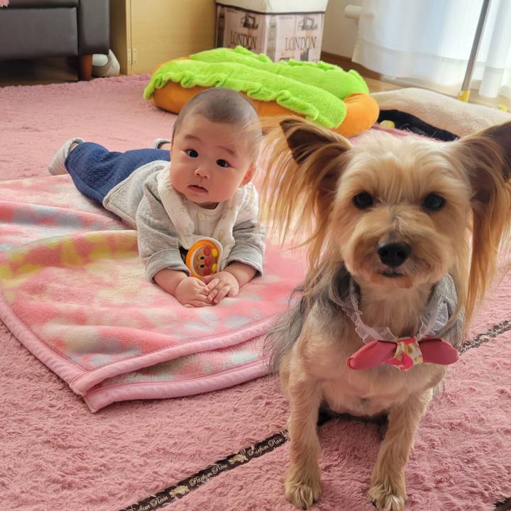 83e74029 6316 44a8 a2c7 cd5fcee038cf 1646736825773