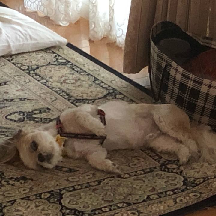 83e74225 8618 45ba 8c60 6d6b746849fd 1626817754077